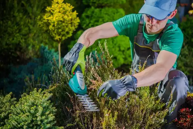 landscaping services Stockton